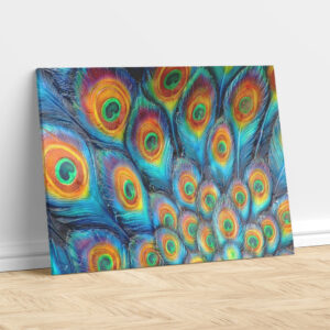 Peacock Feathers – Painting Print