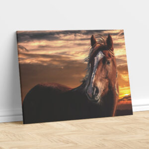 Golden Hour Stallion