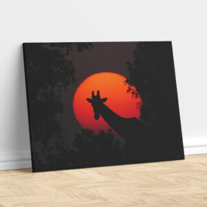 African Giraffe Sunset Silhouette