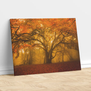 Autumn Woodland Glow – Painting Print