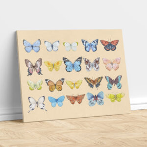 Butterfly Collection – Painting Print